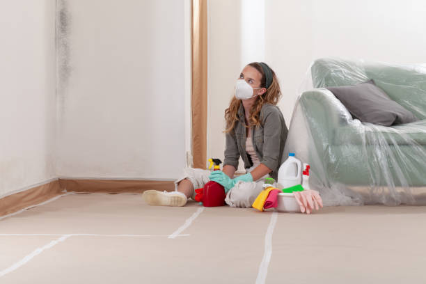 Reliable Mold Removal contractor in Carrollton, VA by WQB Mold Removal